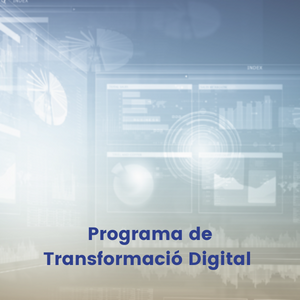 Torna el Programa de Tutoria per a la Transformació Digital!